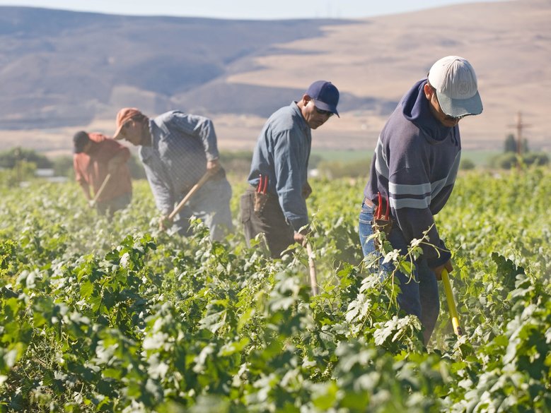 Latino Doctor provides a haven for migrant farmworkers