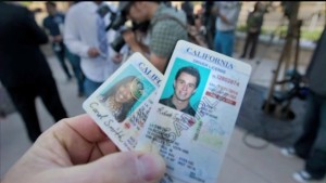 undocumented drivers license